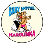 logo_babyhotel.png